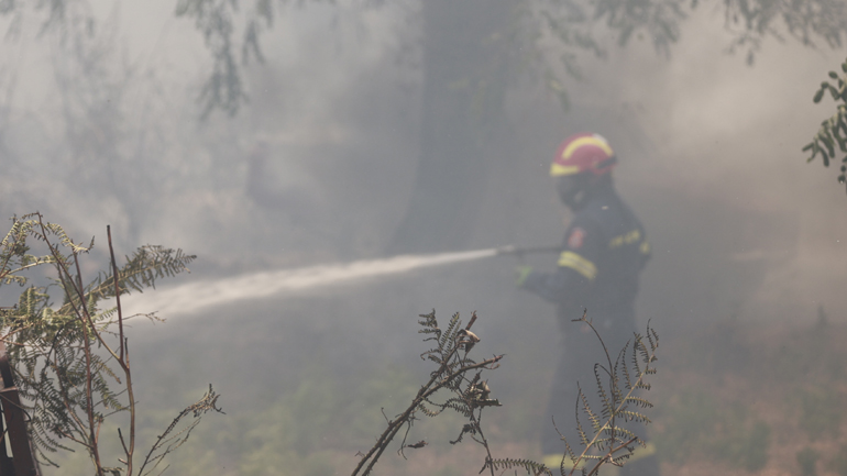 «Φλόγες ξεπήδησαν από το πουθενά» – Απόπειρα εμπρησμού καταγγέλλει ο αντιδήμαρχος της Βόρειας Κέρκυρας